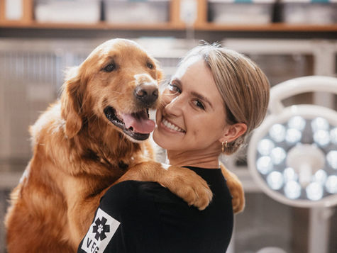 A veterinarian gets a hug from a golden dog