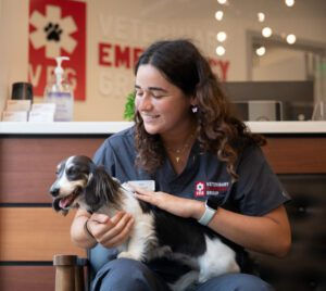 Dog Drooling: When is it an Emergency?
