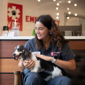 Dog Drooling: When is it an Emergency?