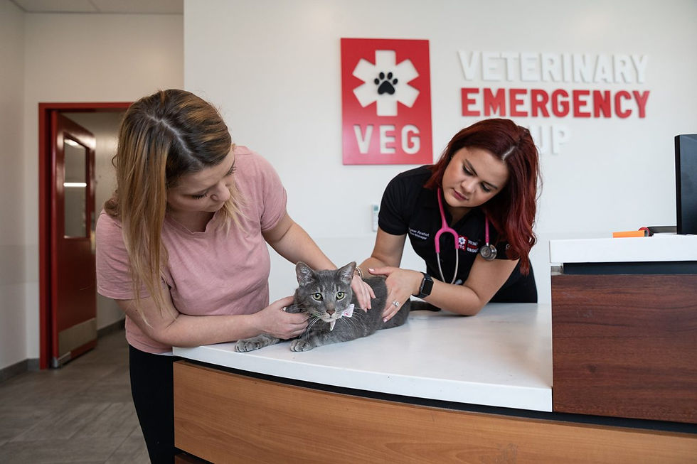 VEG ER for pets.png