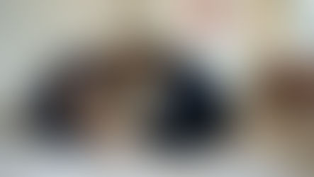 Dog is shaking as two vet professionals attend to symptoms.