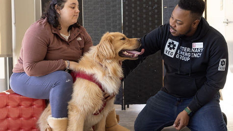A dog that was panting and pacing sits at the vet hospital with its owner and the vet