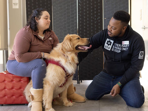 A dog that was panting and pacing sits at the vet hospital with its owner and the vet