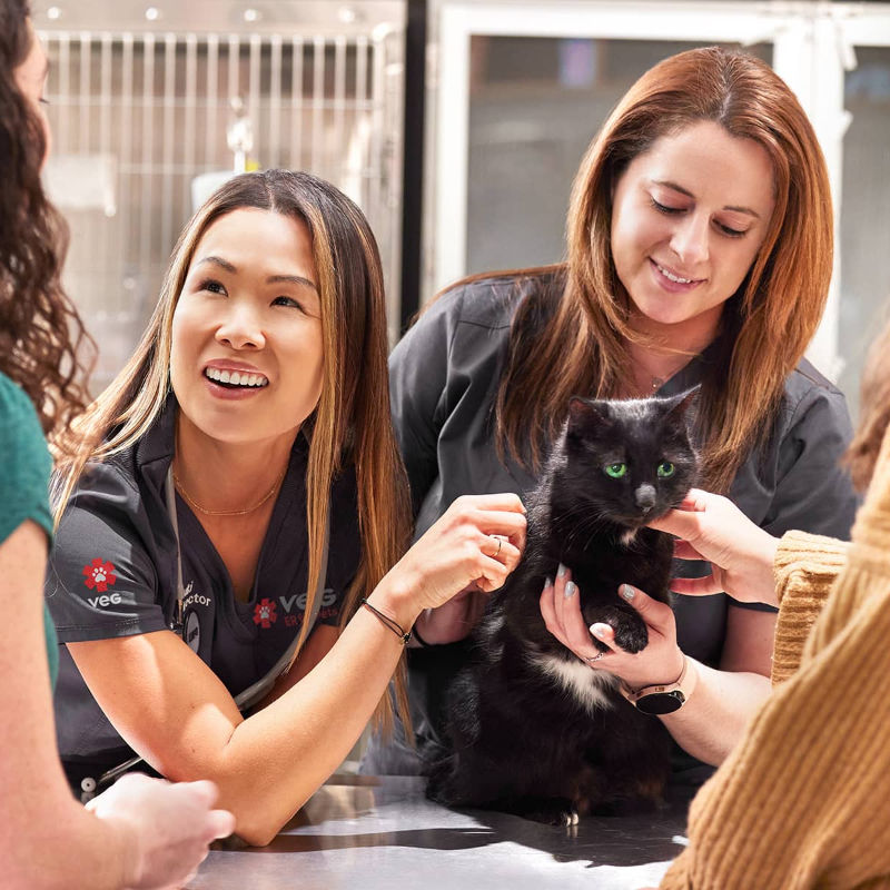 a female doctor smiling to camera and a female nurse holding and petting a cat 