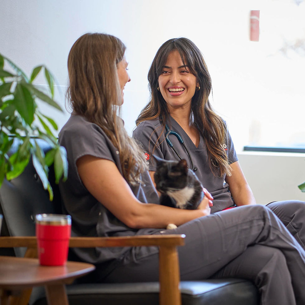 two female doctors sitting on a couch smiling and talking to each other. one is wearing a stethoscope and the other is holding a black and white cat in her arms. 