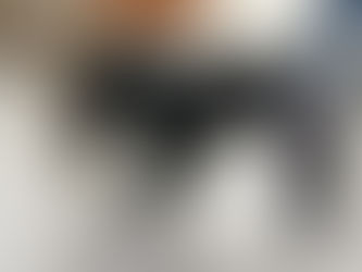 A black dog with a branch in its leg is at the vet hospital.