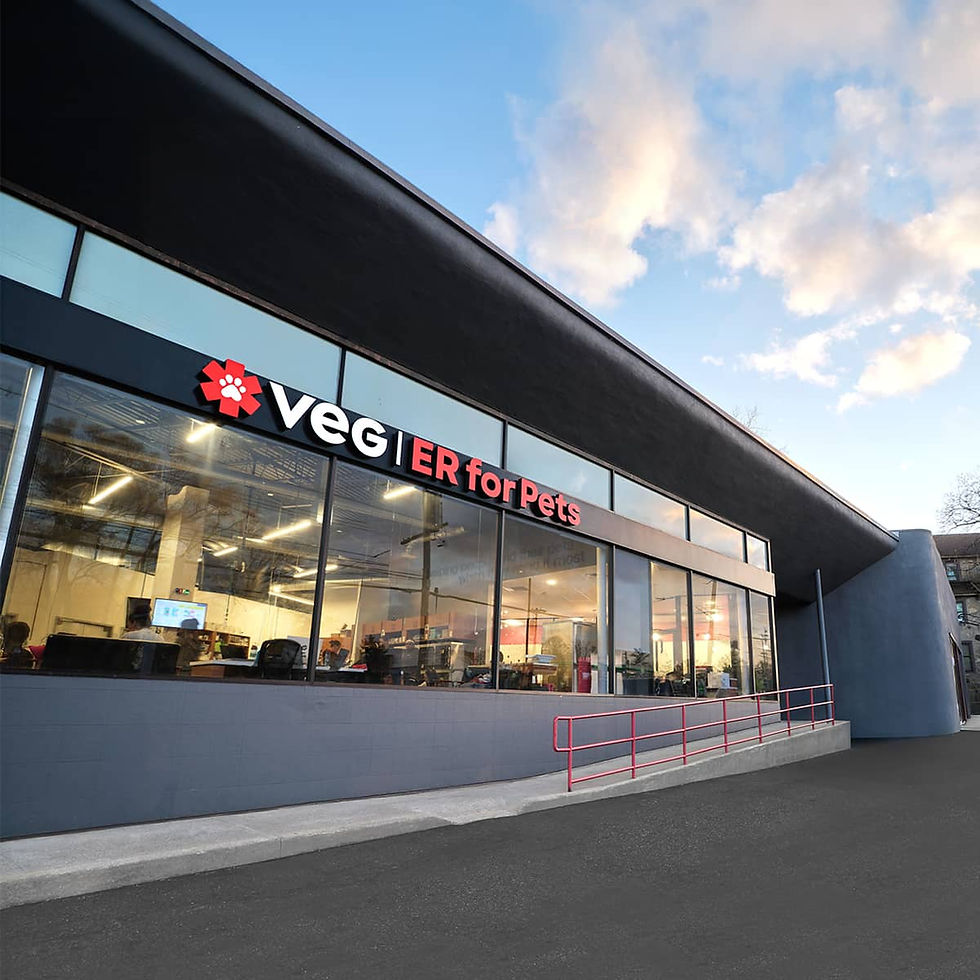 VEG ER for Pets Hospital in White Plains, New York Location Exterior