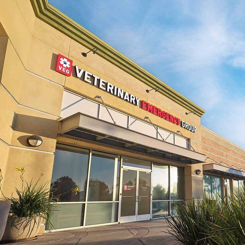 VEG San Jose