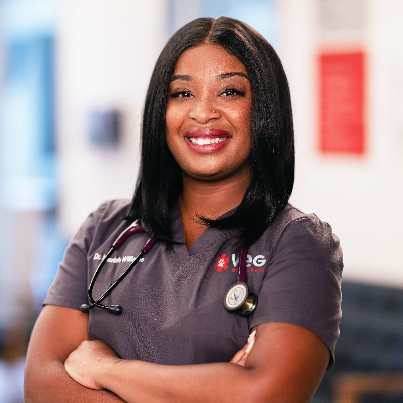 a female doctor smiling to camera wearing scrubs and a stethoscope 