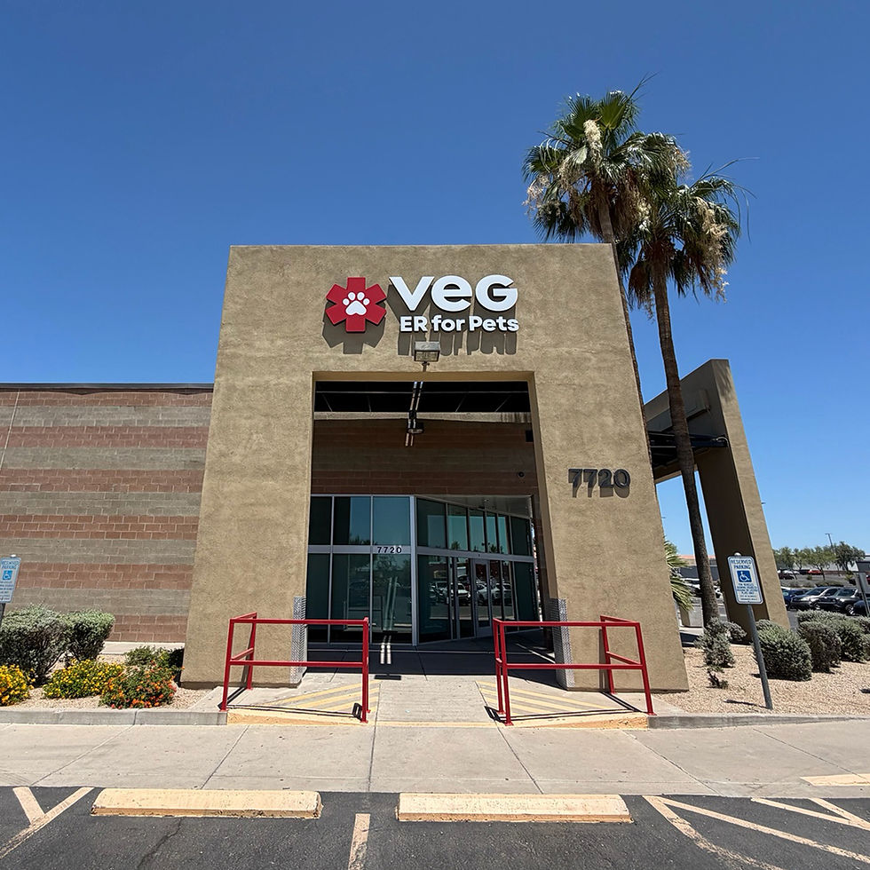 VEG Vet Building (1).jpg
