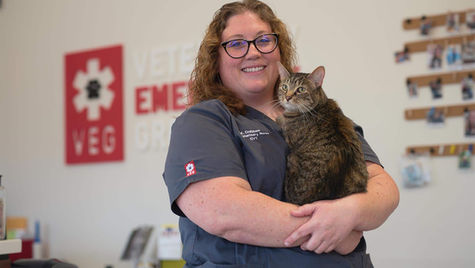 10 Common Pet Emergencies in Mount Pleasant, SC
