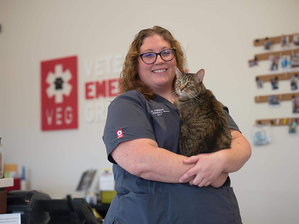 A veterinarian in scrubs holds a brown and black striped tabby cat in her arms in a hospital lobby.