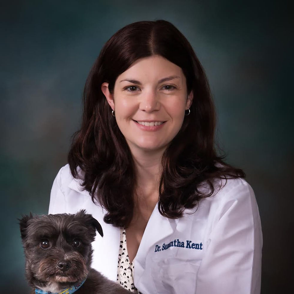 Dr. Sam Kent
