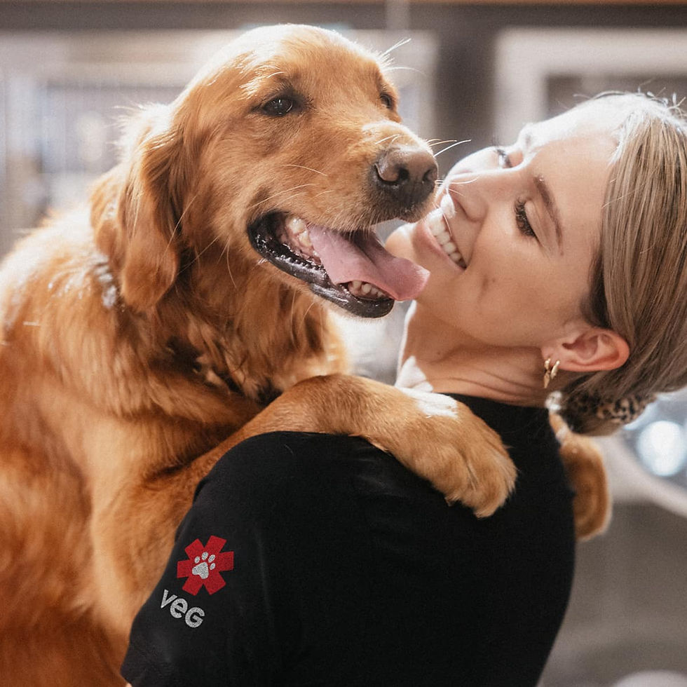 Vet smiling and hugging a golden retriever