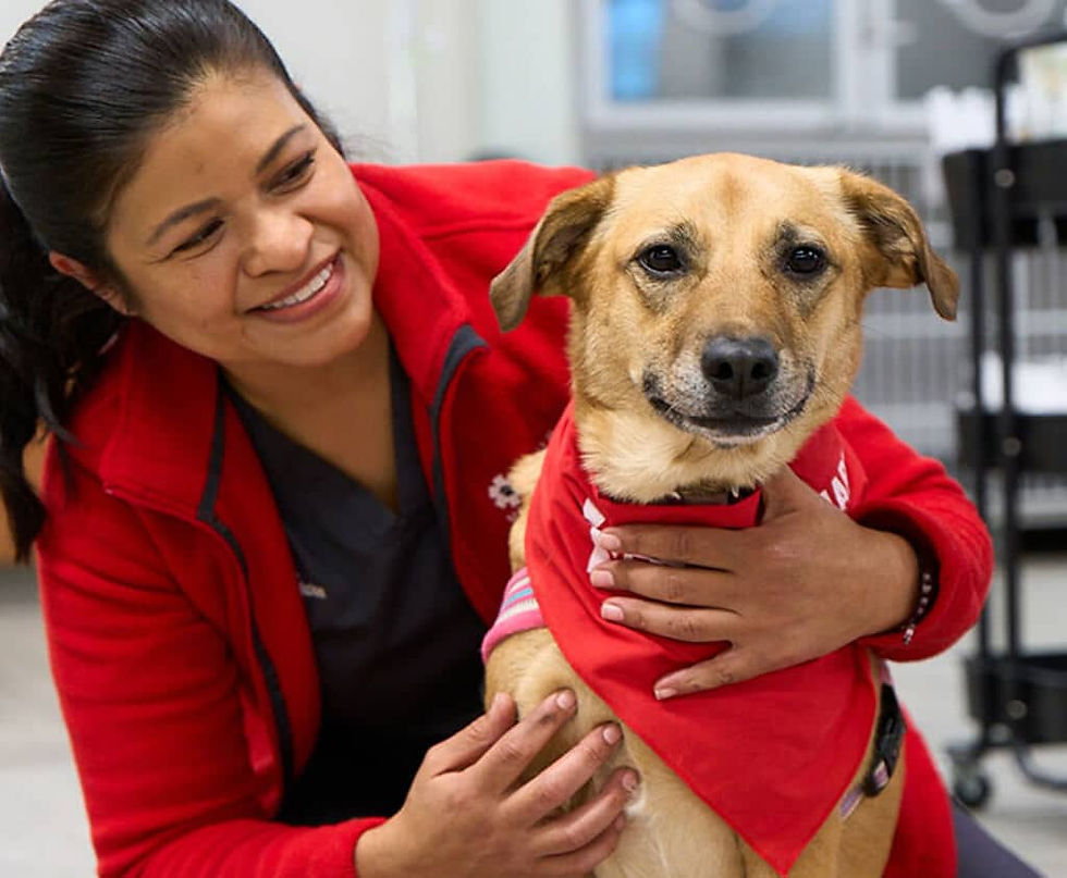 a nurse kneeling next to a brown dog whose wearing a red bandana 