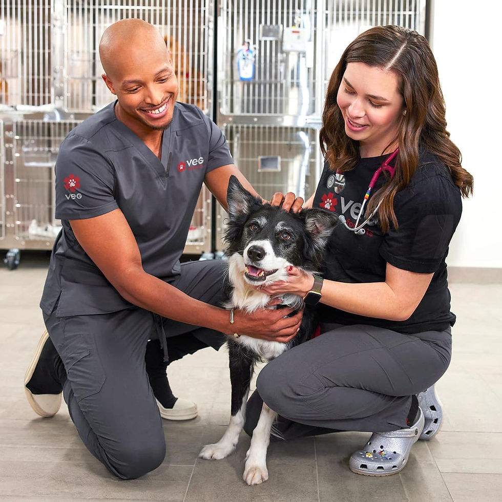 a male and a female doctor kneeling down next to a black and white dog smiling and petting it