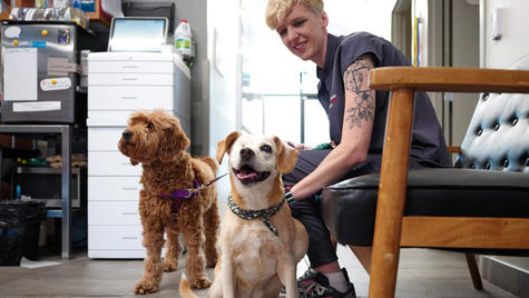 A VEG staff member sits on a couch with two dogs on leashes.