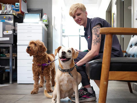 A VEG staff member sits on a couch with two dogs on leashes.
