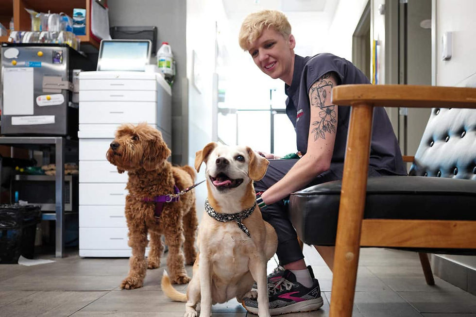 VEG ER for pets.png
