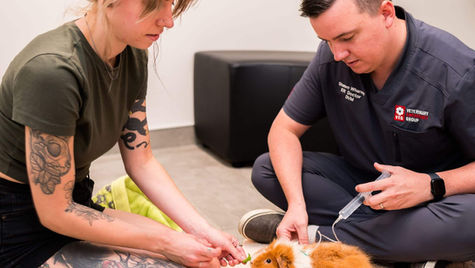 10 Common Pet Emergencies in Buffalo Grove, IL