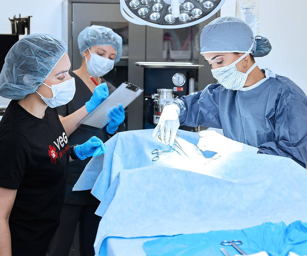 20221129_VEG_D1_Surgery-_041-1200x800.jpeg