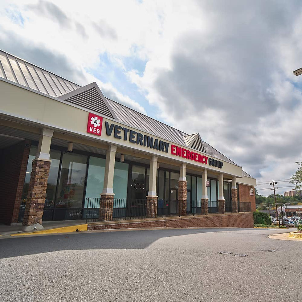 VEG ER for Pets Hospital in Falls Church, Virginia Location Exterior