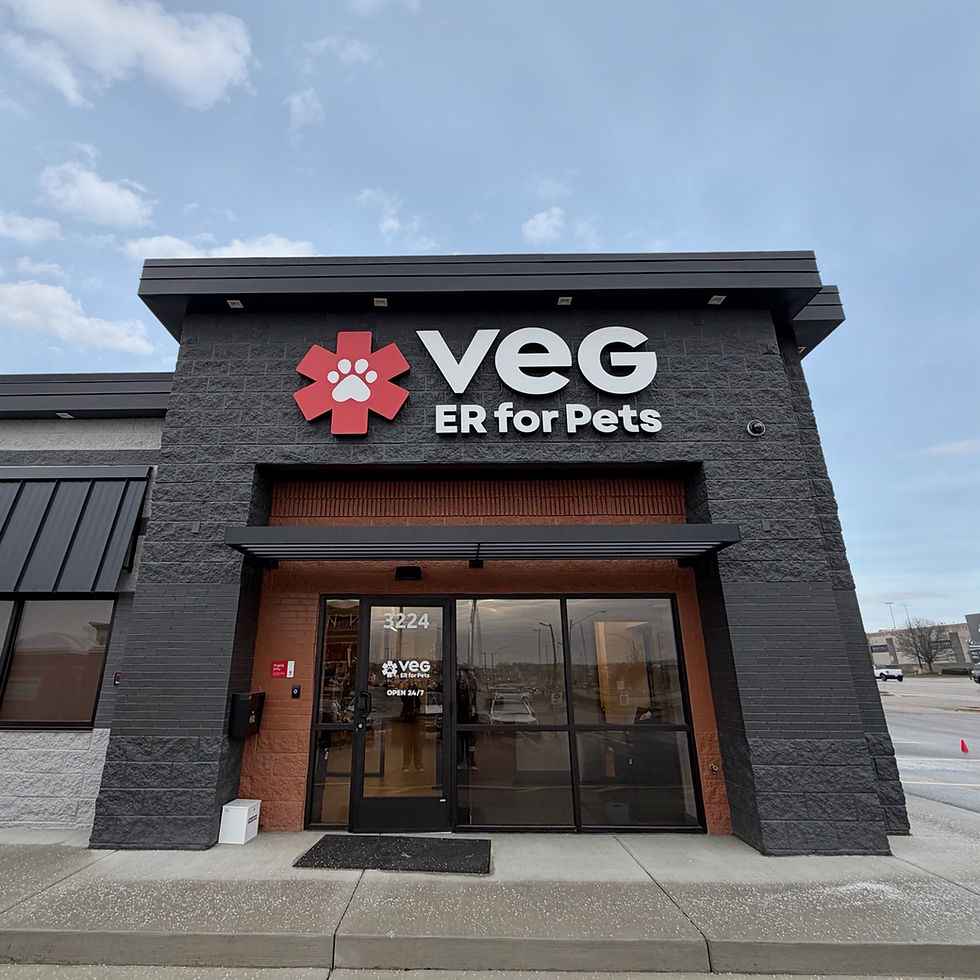VEG ER for Pets Hospital in East Grand Rapids, Michigan