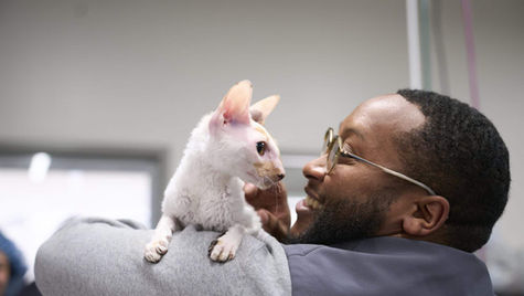 10 Common Pet Emergencies in Seattle, WA