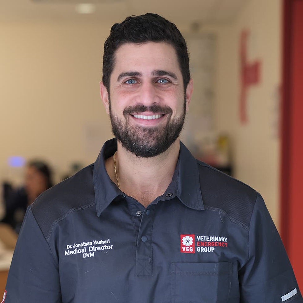 Dr. Jonathan Yashari