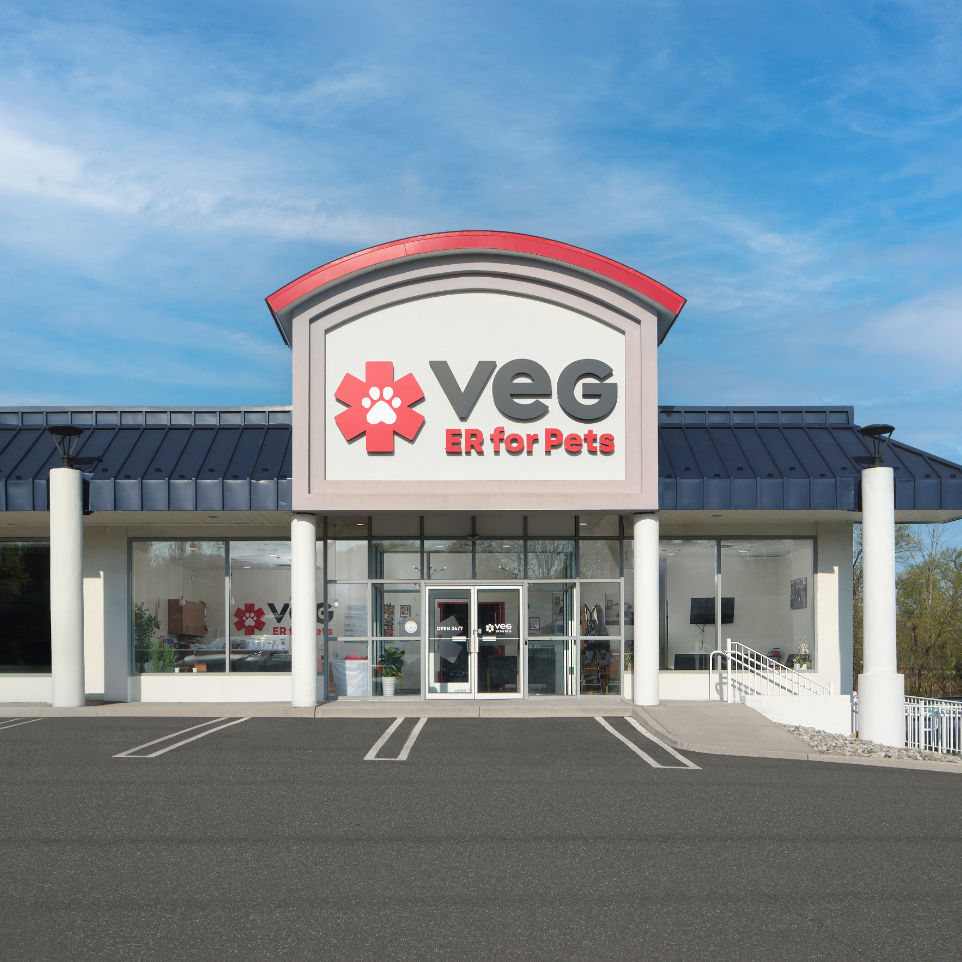 VEG ER for pets.png