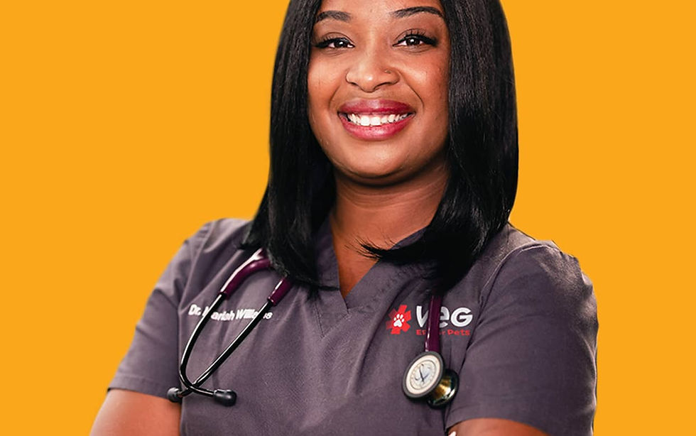 Veg Vet Veterinarian