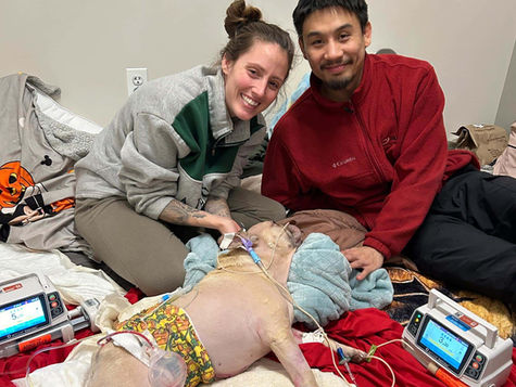 A Dog in Distress: Ernie's Story