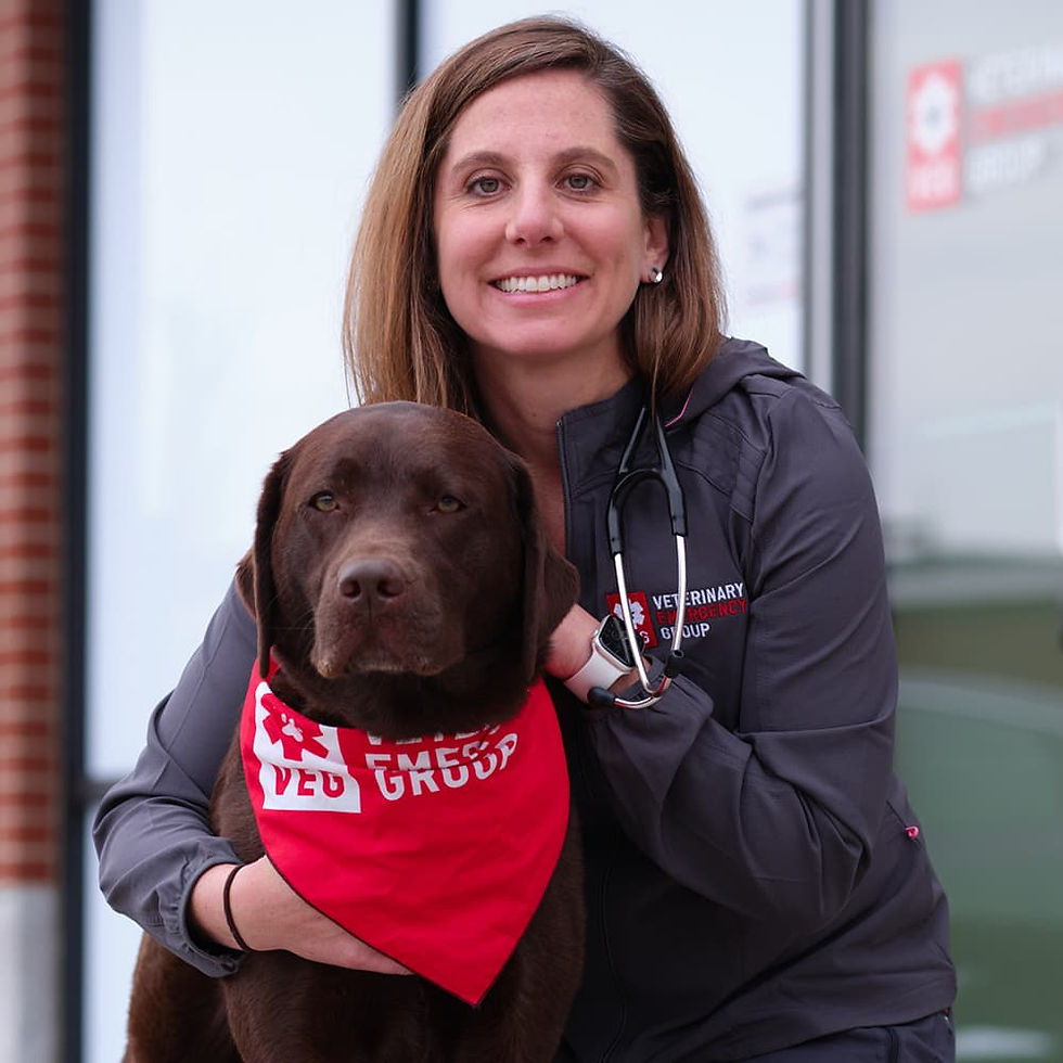 Dr. Katrina Abell