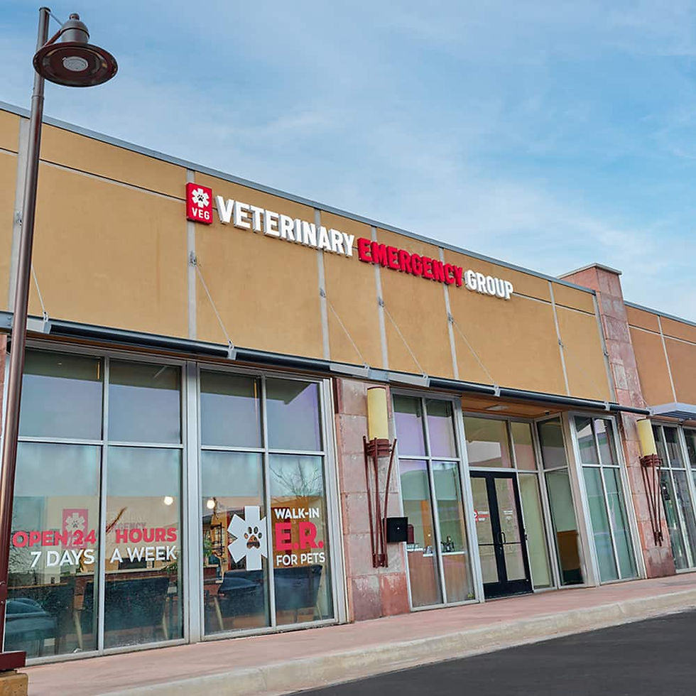 VEG ER for Pets Hospital in Boulder, Colorado Location Exterior