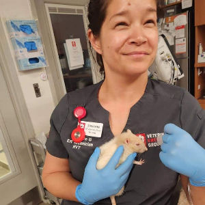 Photo of a bet tech holding a pet rat