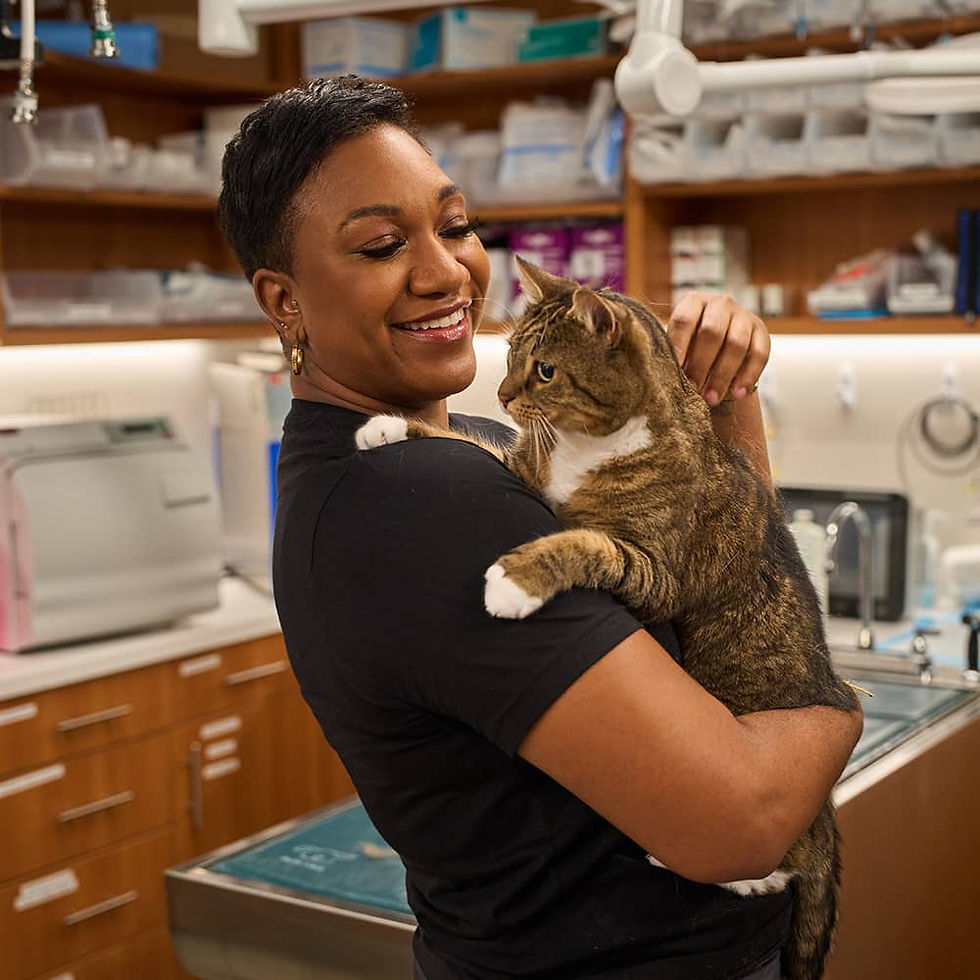 a female veterinary technician holding a cat smiling at it 