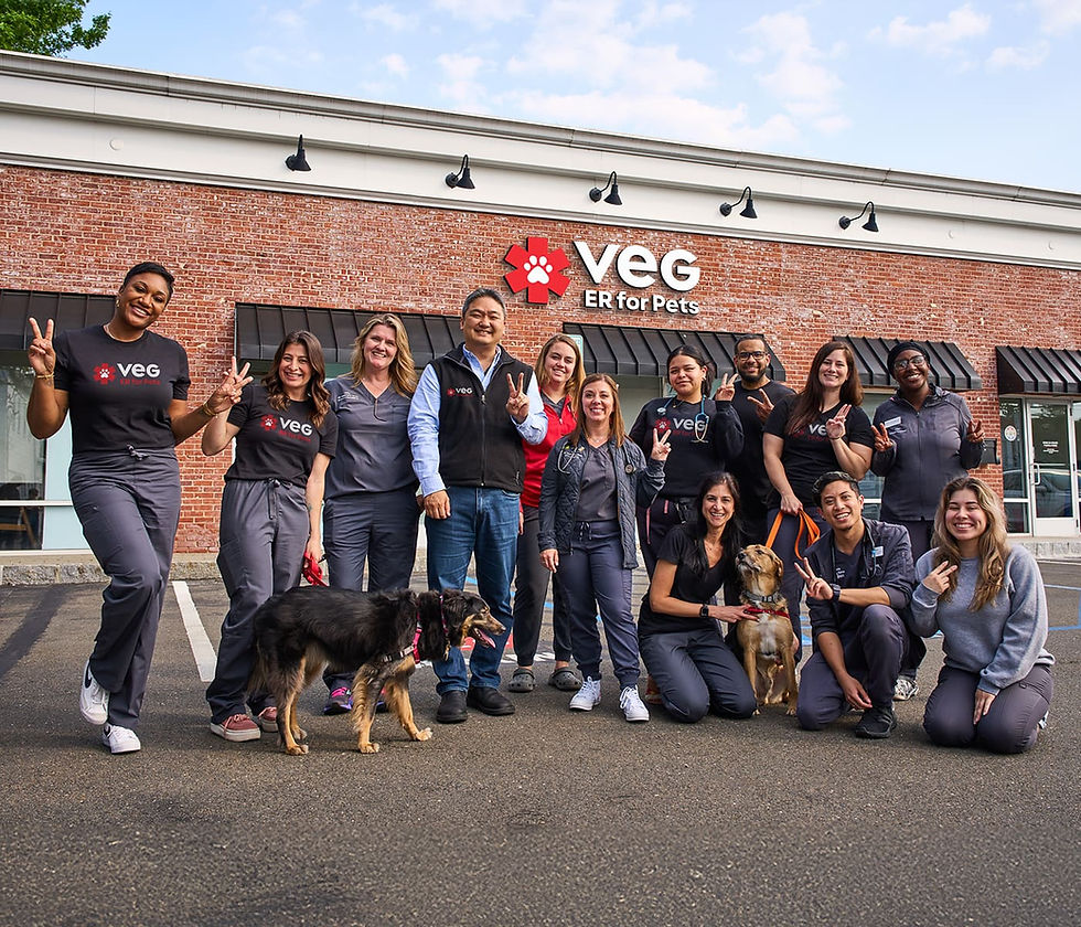 A group of doctors, nurses, and hospital staff standing outside a VEG ER for Pets location holding up a peace sign with their fingers and accompanied by two dogs