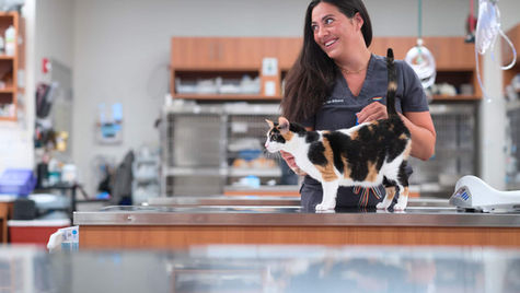 10 Common Pet Emergencies in San Antonio, TX