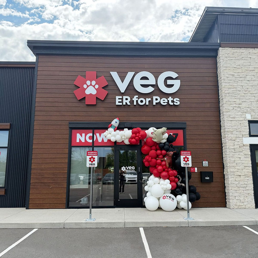 VEG Green Bay