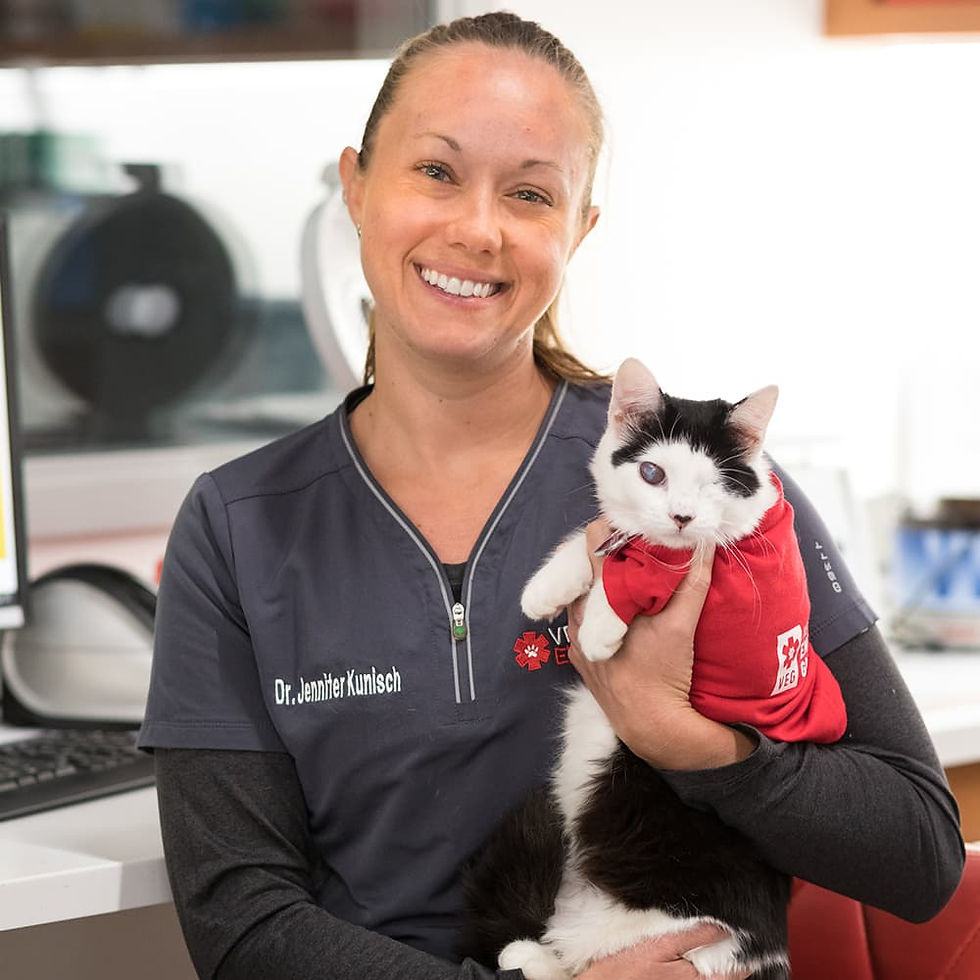 A black and white cat wearing a red shirt is held by a smiling veterinarian