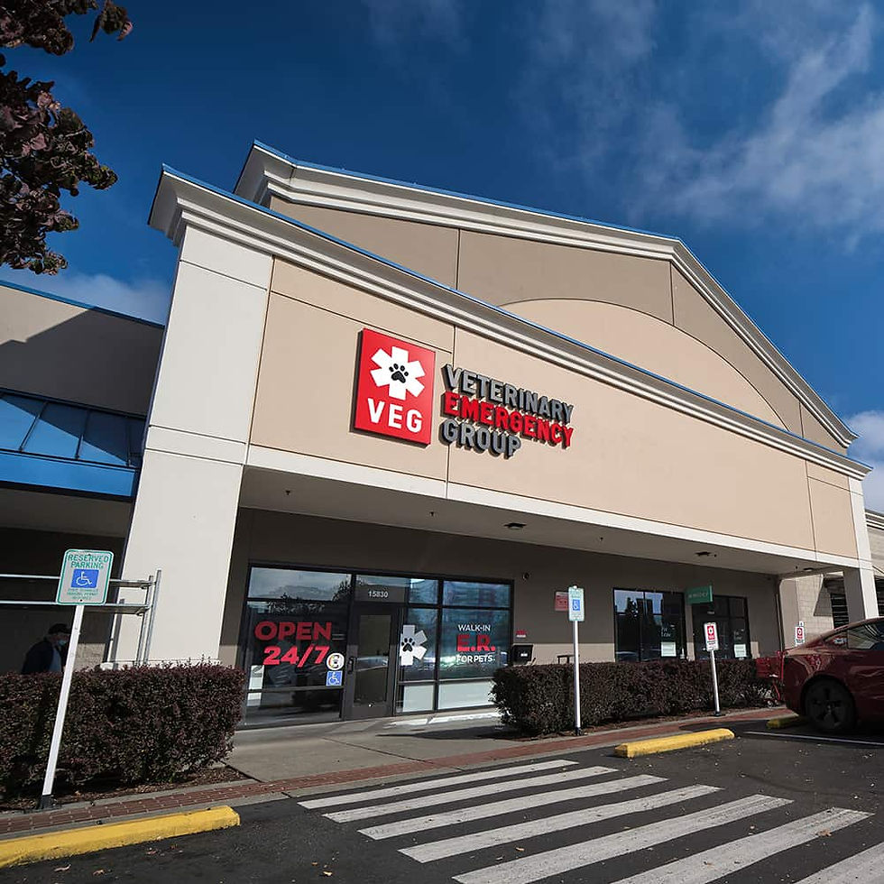 VEG ER for Pets Hospital in Redmond, Washington Location Exterior