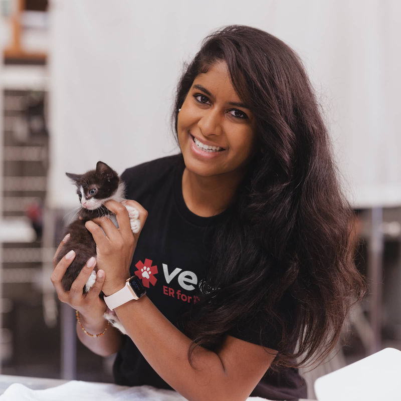 women smiling to camera holding a small black and white kitten 