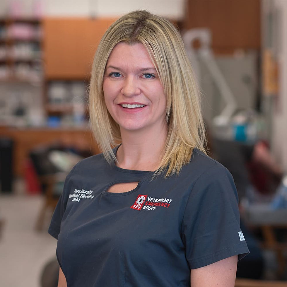 Dr. Tara Murphy