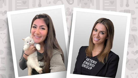 Two separate pictures, one woman smiling and holding a kitten and the other smiling.