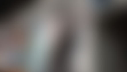 A gray and black tabby cat in a veterinary office looks up.