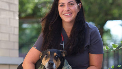 10 Common Pet Emergencies in Cincinnati, OH