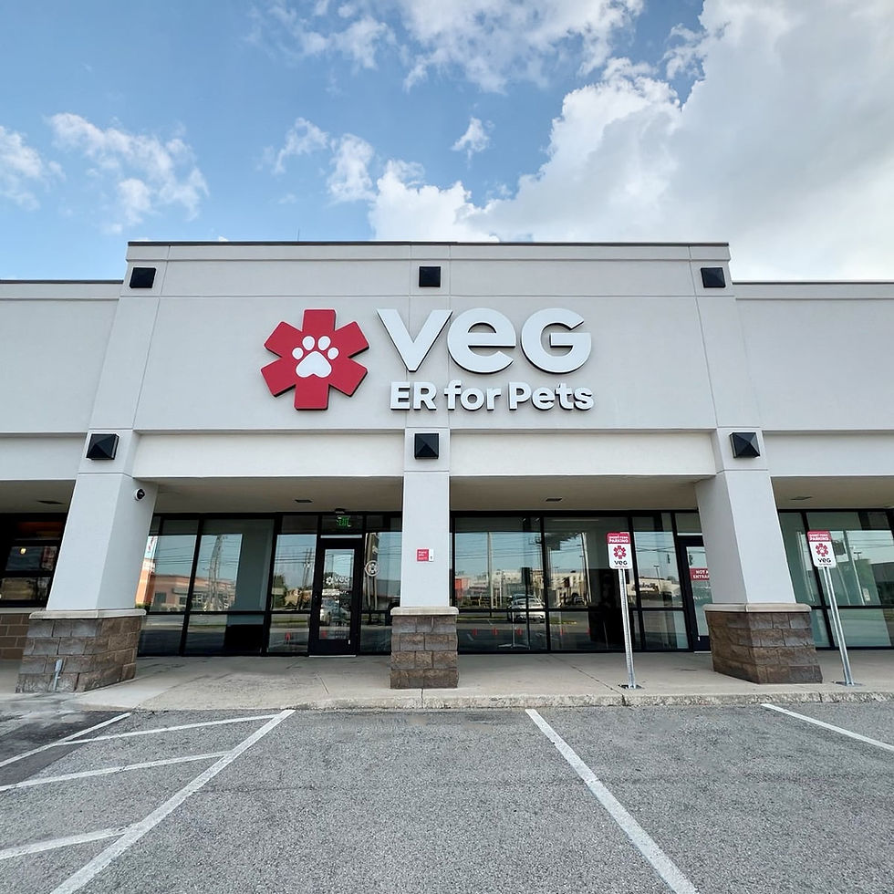 VEG Louisville