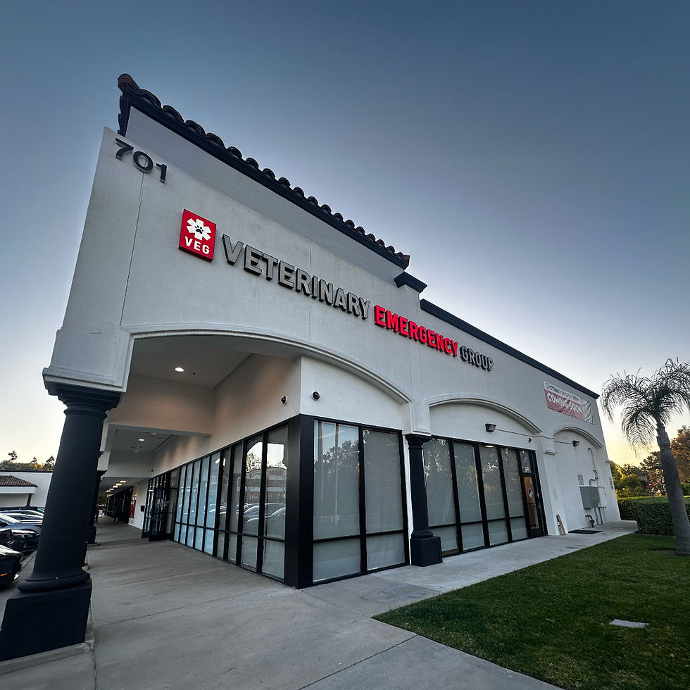VEG Vet Building (1).jpg