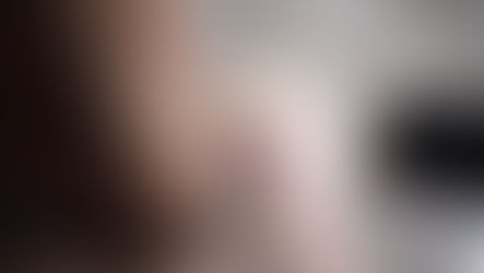 A white fluffy cat that has been vomiting is being seen by the vet