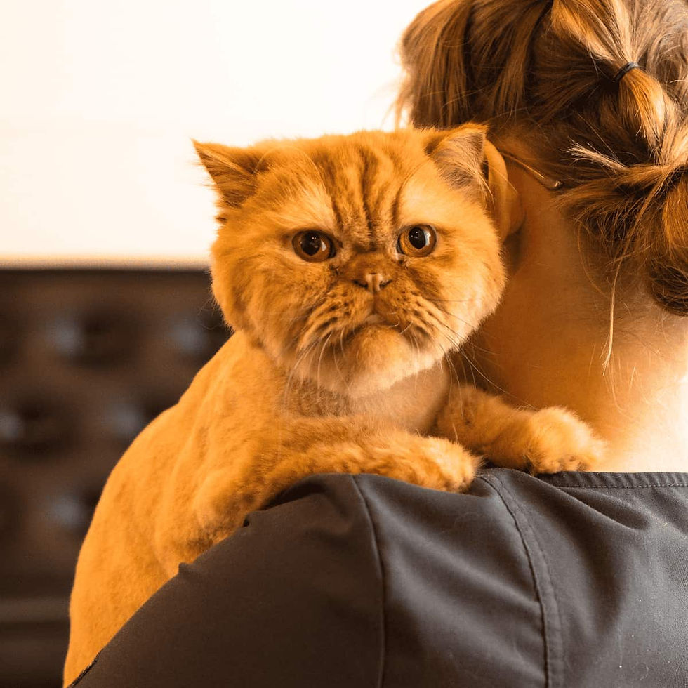 VEG ER for pets.png